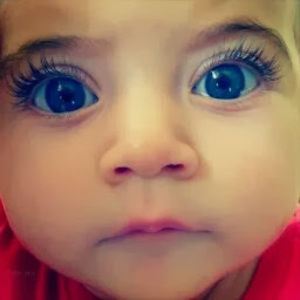 Meet your Posher, Maha